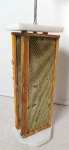 DIY Honey Extractor Out of Plastic Buckets Image